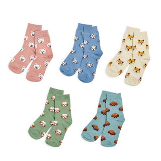 Pawfect Pairs Socks - barndoorboutiquetn