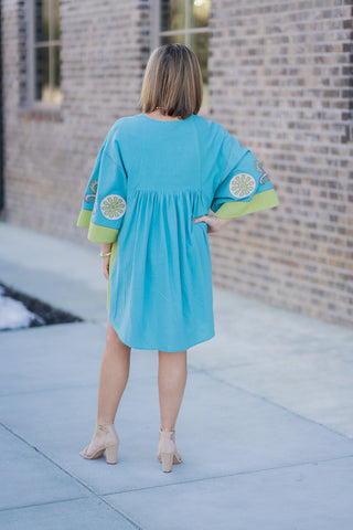 Sisu Mini Dress - barndoorboutiquetn