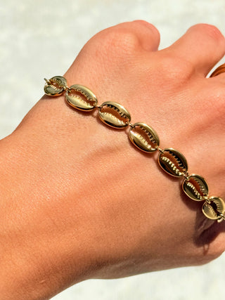 Puka Shell Bracelet - barndoorboutiquetn