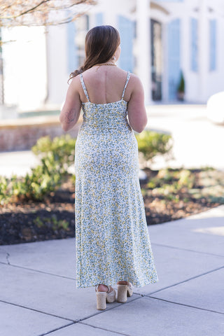 Z Supply Faya Maxi Dress - barndoorboutiquetn