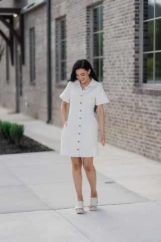 Meringue Mini Dress - barndoorboutiquetn