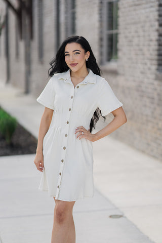 Meringue Mini Dress - barndoorboutiquetn