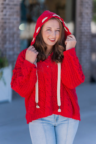 Fireside Knit Hoodie