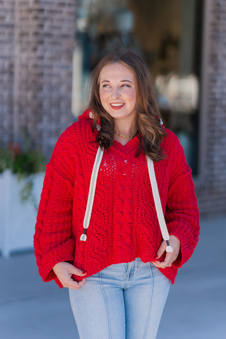 Fireside Knit Hoodie