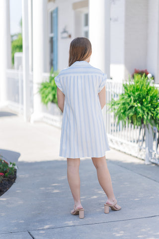 Z Supply Shellbound Striped Mini Dress - barndoorboutiquetn