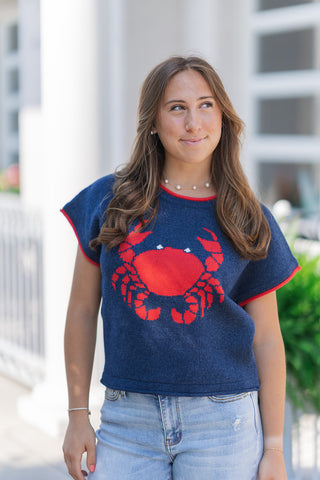 Pinch-Me Patriotic Knit Top - barndoorboutiquetn