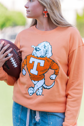 TN Smokey Sweatshirt - barndoorboutiquetn