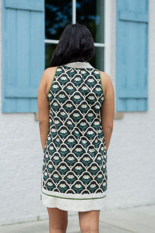 Miss Daisy Mini Dress - barndoorboutiquetn