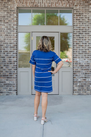 Z Supply Sway Mini Dress - barndoorboutiquetn