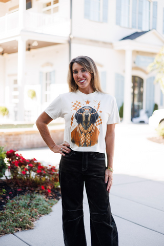 Smoky Mountain Hound Shirt