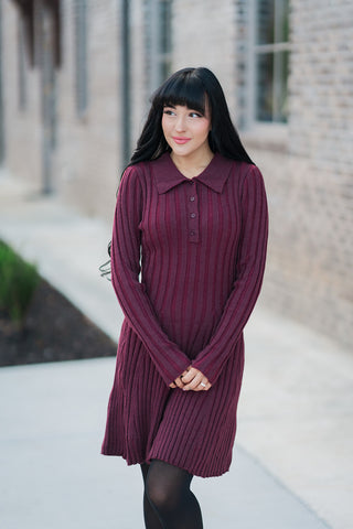 Sugar Plum Sweater Dress - barndoorboutiquetn