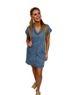 Z Supply Napa Denim Mini Dress