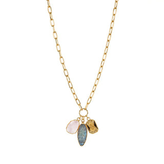 Charmed Life Charm Necklace